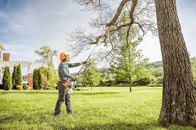 Best Storm Damage Tree Cleanup  in Kirbyville, TX