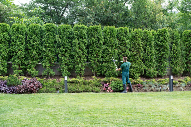 Best Commercial Tree Services  in Kirbyville, TX